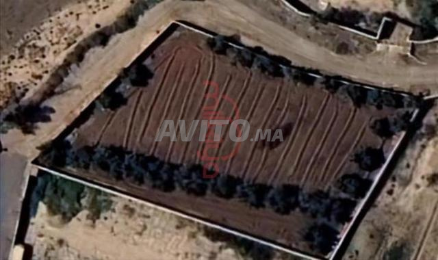 بيع أرض عارية بمساحة 2480 متر مربع في مراكش