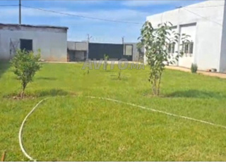 Ferme à vendre, commune de Benmansour, province de Kénitra
