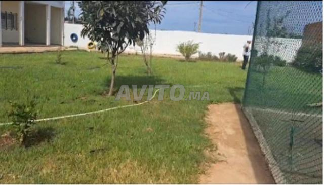 مزرعة للبيع جماعة بنمنصور، إقليم القنيطرة - 2