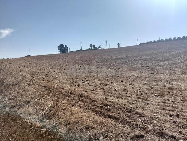 4 بقع تمن ديالهم 4000 درهم في الصخيرات