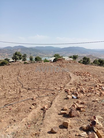 Terrain agricole à vendre à Beni Arous