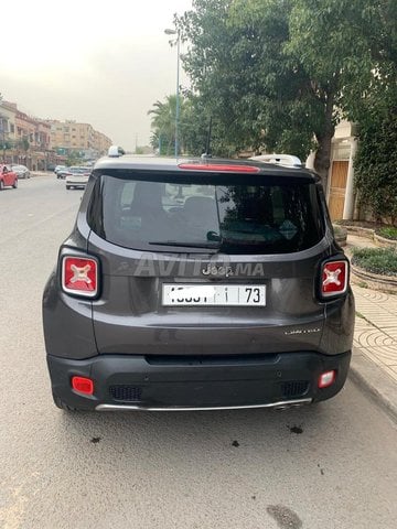 جيب رينيجيد