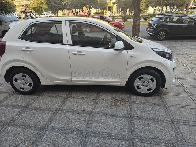 كيا بيكانتو