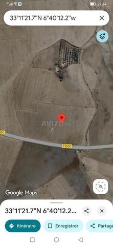 أرض فلاحية 5 هكتار محفظة فيها الضوء على الطريق