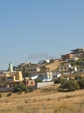🔷 Terrain résidentiel à vendre à Oued Lian – Ksar Sghir 🔷 - 2