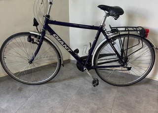 Vélo importé de Hollande