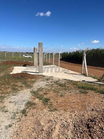 3 Hectares titre à vendre tiflet Khemisset - 2