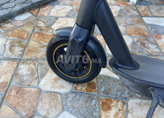 Trottinettes électriques