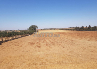 Hectare titré Hectare titré dans la région de Bessabes Bouznika