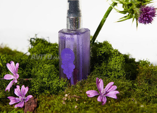 Biokera سيروم مرمم بذور العنب 60 مل