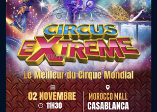 Billet VIP pour le cirque