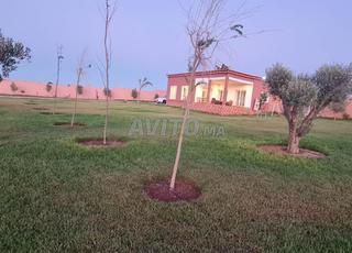 مزرعة صغيرة للبيع