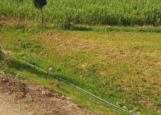 Terrain à vendre, titre foncier enregistré chez le notaire