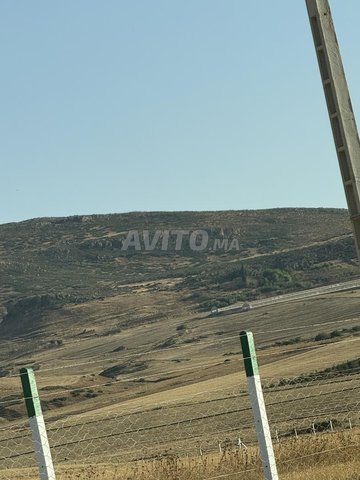3 hectares à vendre