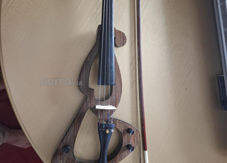 Violon Électrique professionnel