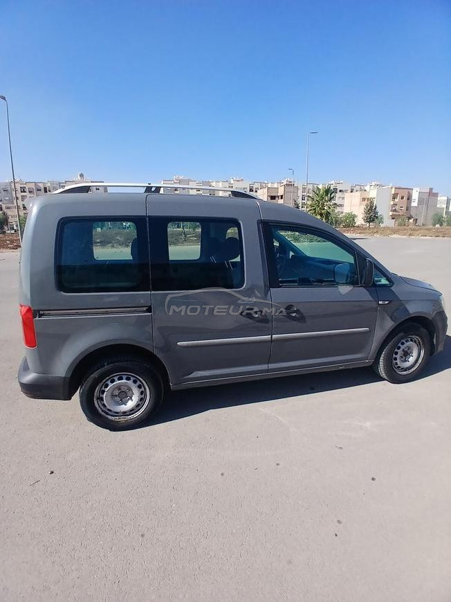 كادي في حالة ممتازة 6خيل