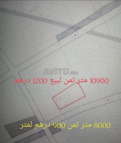 تيراني أفيندر I2S1 أولد عزوز كيلومتر 16 - 2