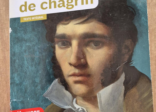 La peau de chagrin de Balzac