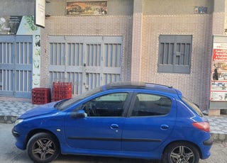 Peugeot 206.pego