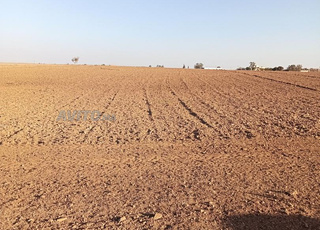 Terrain agricole près de Ghedira