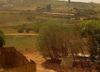 منزل سيدي موسى المجدوب