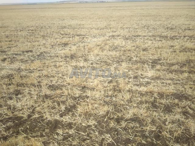 أرض فلاحية ثيثر فونسي بمساحة هكتار ونصف وخدام