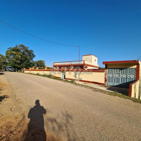 أرض فلاحية محفظة ودار عصرية للبيع بعين دالية طنجة