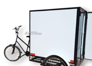 Tricycle électrique triporteur livraison