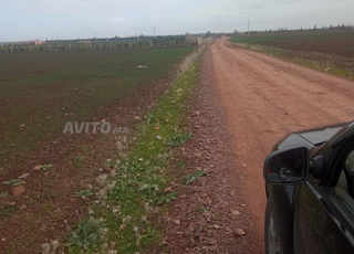 Terrain 5 km Settat Titre