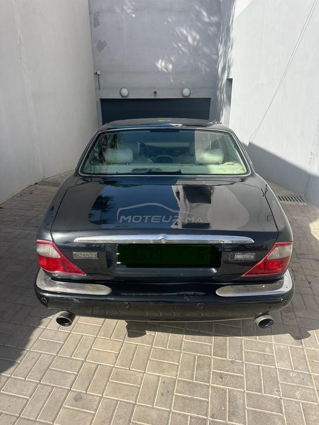 jaguar  XJR 