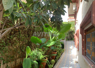 Villa à Vendre à Branes