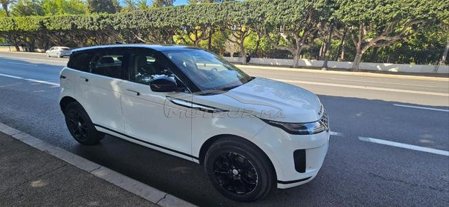 bb velar automatique à vendre
