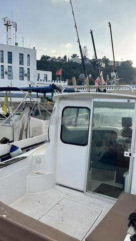 Bateau Marine à vendre