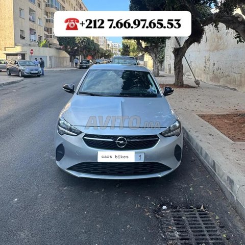 أوبل كورسا 2023