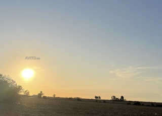 Terrain nu pour camping car ptite pause