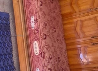 ناموسية باقية نقية