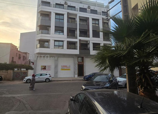 Studios neufs à Palmier