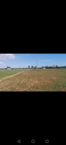 بقعة أرضية رملية موجود الماء اللهم بارك - 2