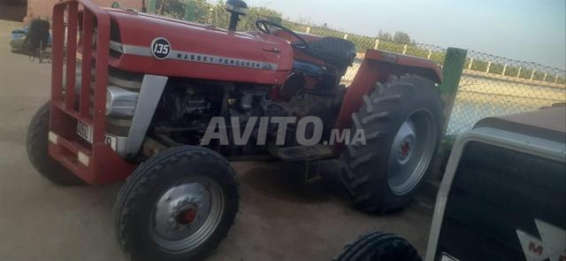 Massey ferguisson 135 - 2