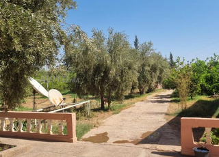 VENTE - Maison sur terrain 1,3 ha - Route de Fez km25