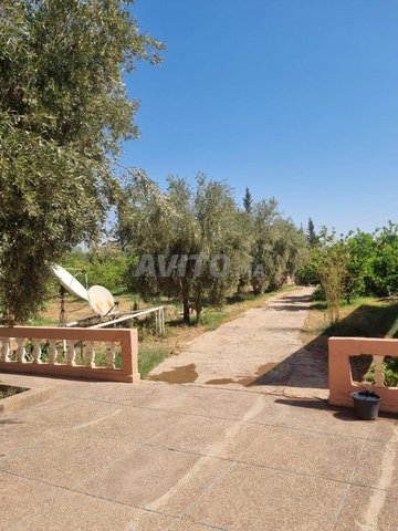 VENTE - Maison sur terrain 1,3 ha - Route de Fez km25