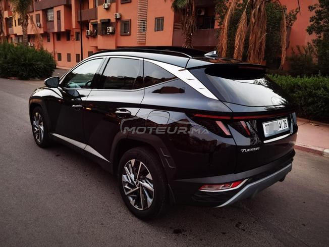 tucson l3amra 2023