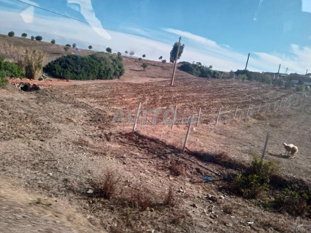 فرصة نادرة بقعة أرضية محفظة بالقرب من تطوان