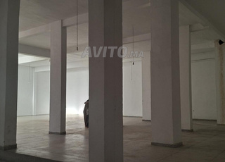 Votre Future Success Story Commence Ici