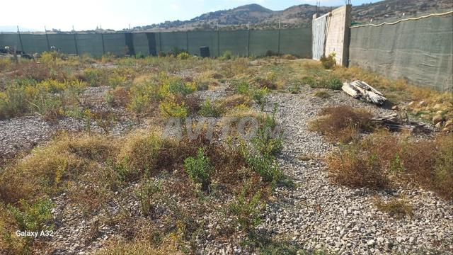 Opportunité en or : terrain royal près de Tétouan🌳 - 2