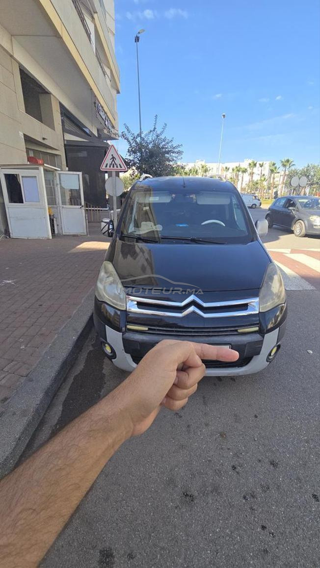 berlingo teppe