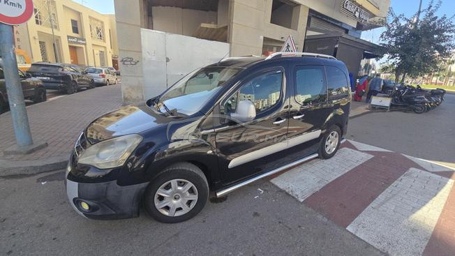 berlingo teppe