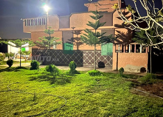 Quatre hectares titrés sur la route des environs, à 6 km de Bahraoui