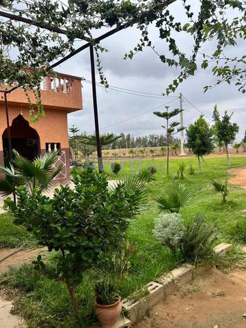 أربعة هكتارات محفظة على طريق 6 كم من البحراوي