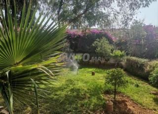 أنفا وأنفا سوبر 1605 M2